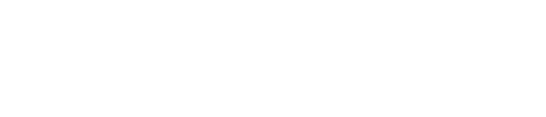 Passai Logo